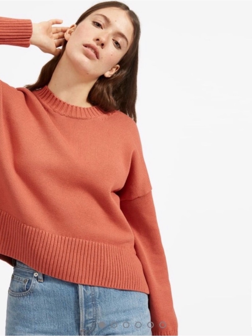 Everlane Soft Cotton Square Crew in Spanish Clay Women’s XS